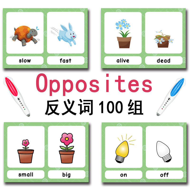The 100 Groups Opposites Flash - đánh giá và giá Kids Education School