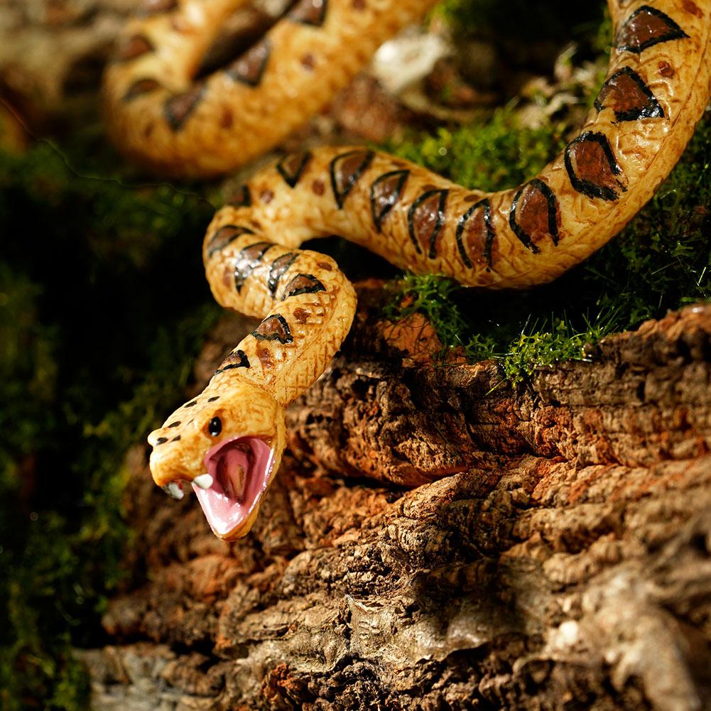 Simulation Forest Savage Snake - đánh giá và giá Kids Education Gift