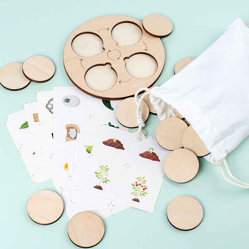 Life Cycle Board Montessori Ki - đánh giá và giá Montessori Shelf Toy